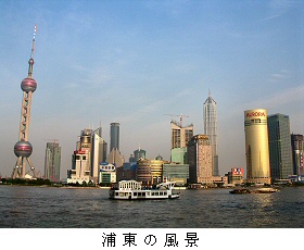 �Y���̕��i