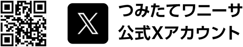 ワニーサ公式X
